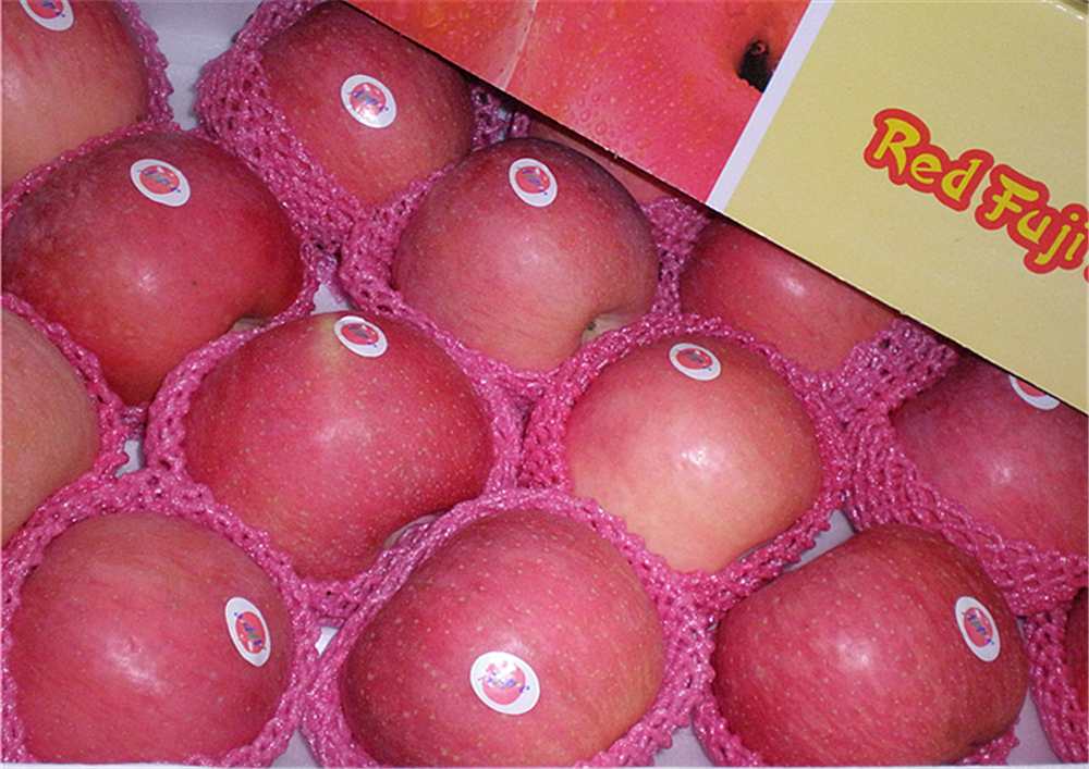 FuJi Apple-A grade