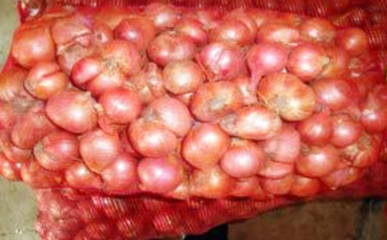 Onion