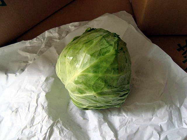 Cabbage
