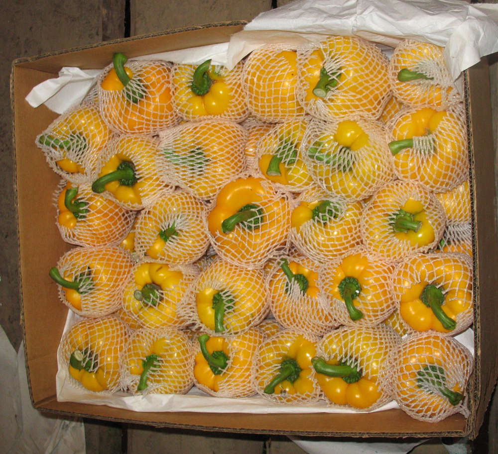 Yellow Pepper