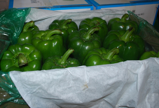 Sweet Pepper