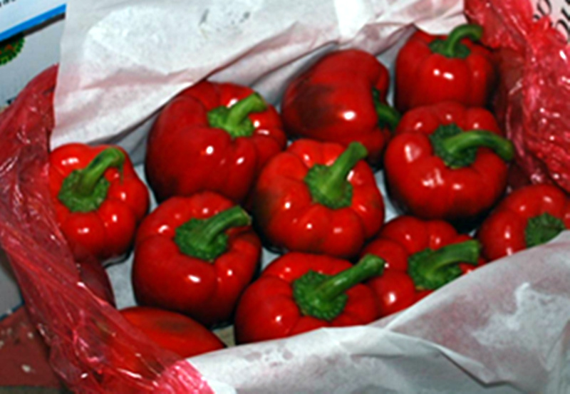 Red-Pepper