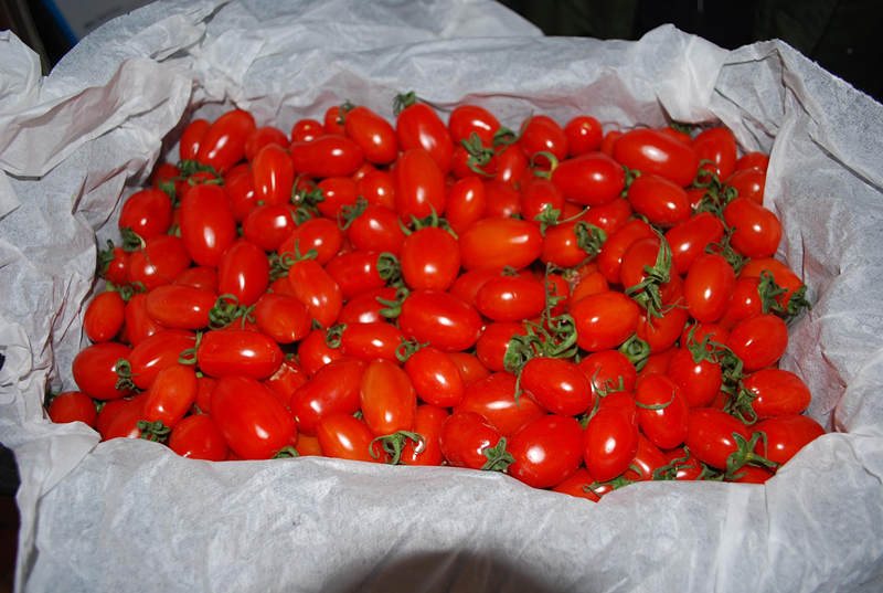 Cherry Tomato
