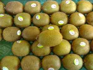 Kiwi