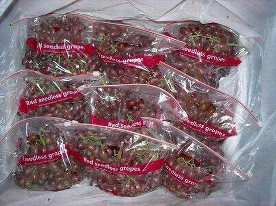 Grape(Crimson)