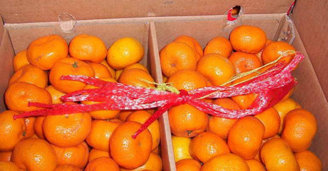 Mandarine(NanFeng) with net