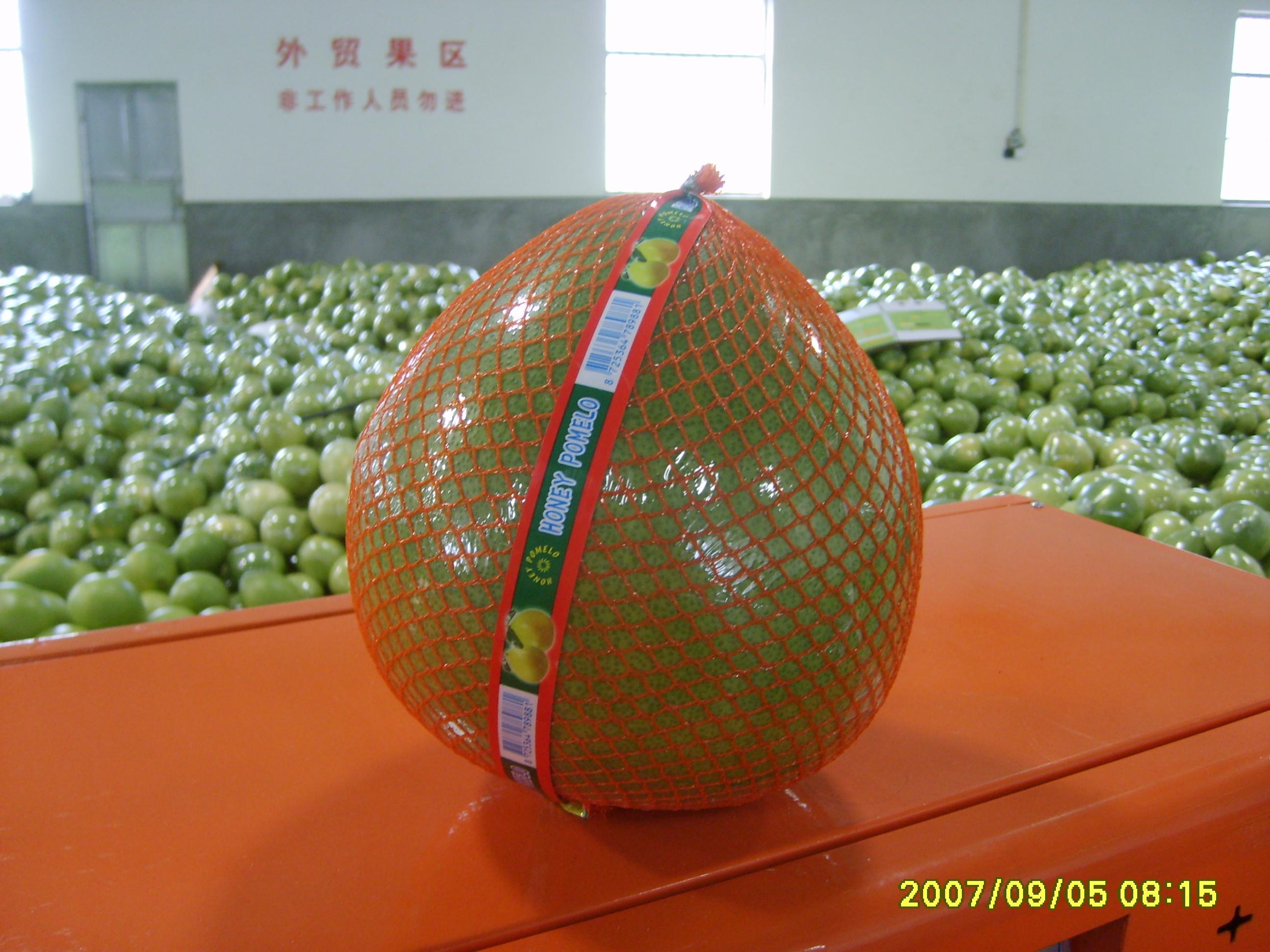 Pomelo