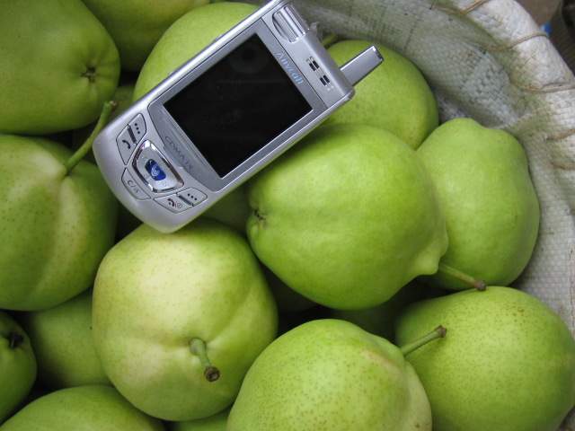 Pear(Early Su Pear)