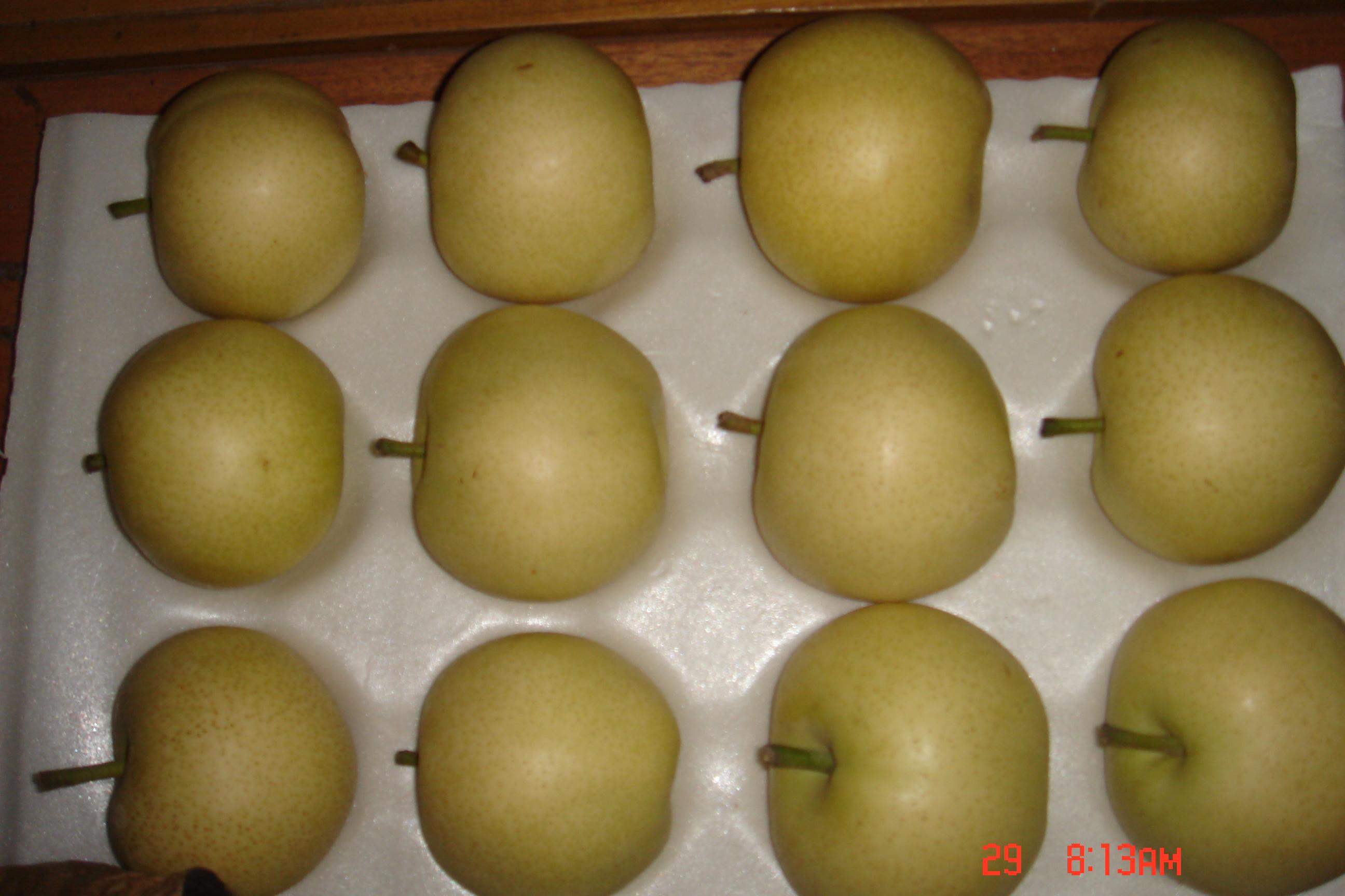 Pear(Emerald Pear)