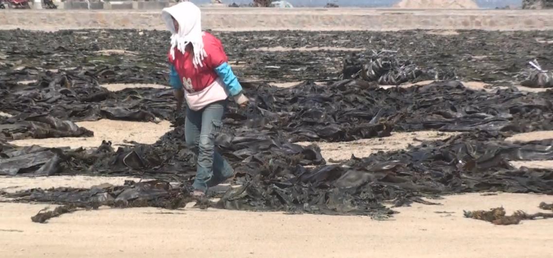 Material Drying