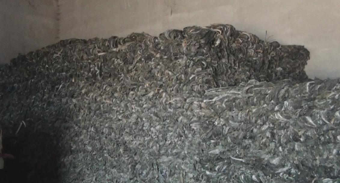 Dried Material In Warehouse
