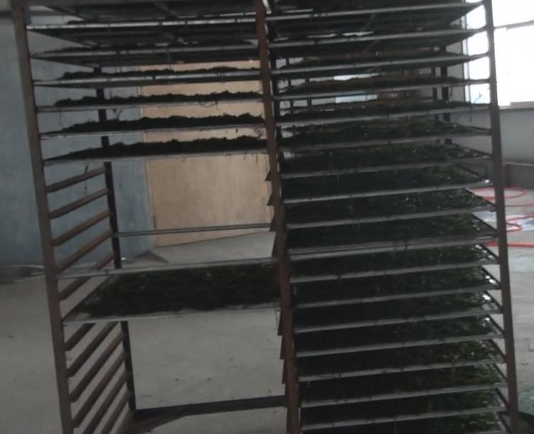 Cart For Machine Drying