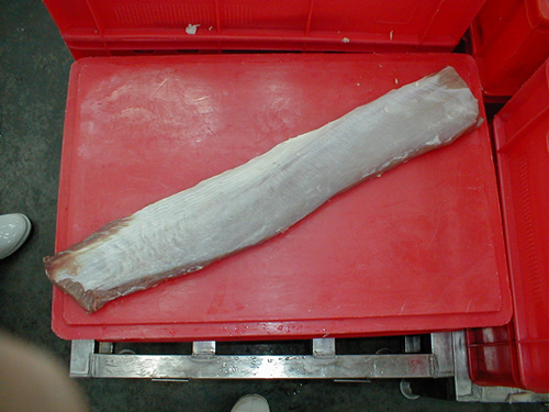 Pork Loin