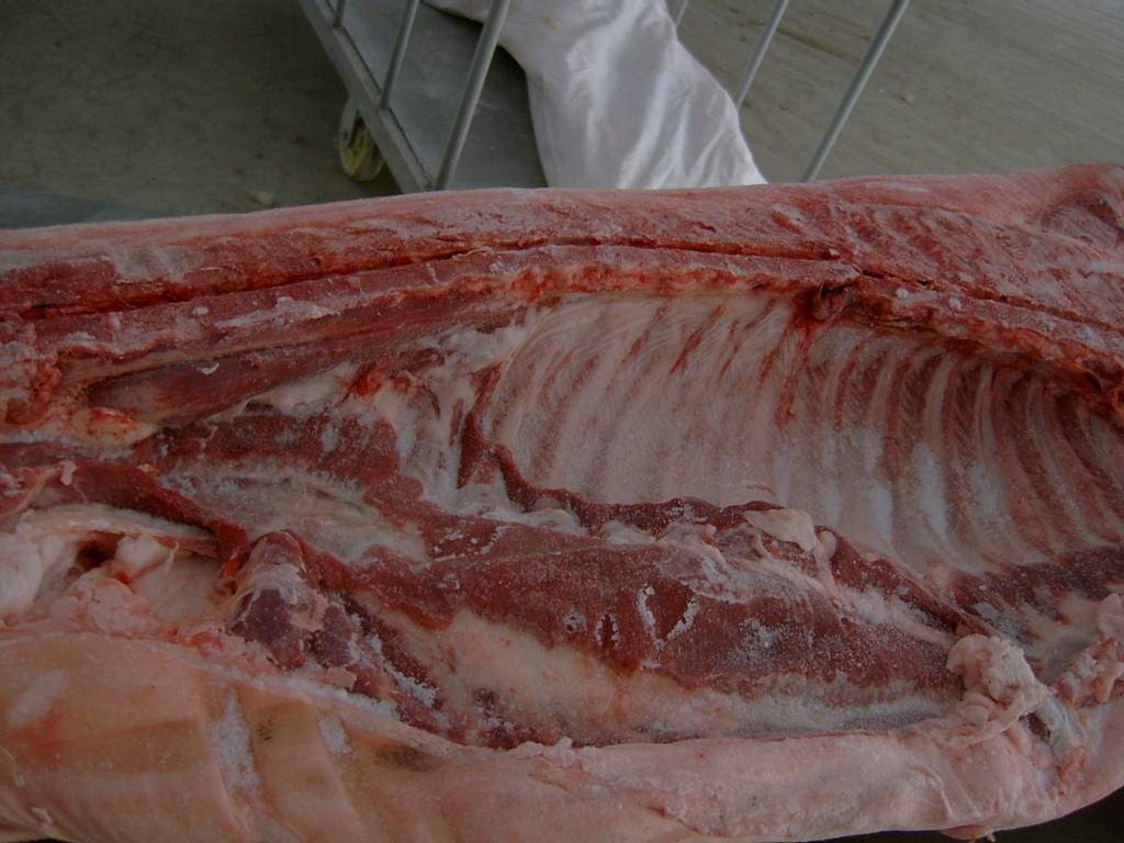 Pork Side