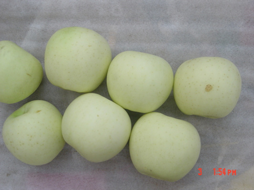 Golden delicious apple