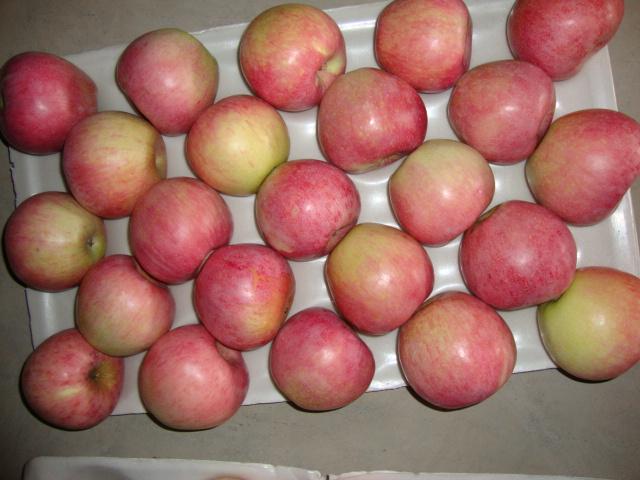 QinGuan apple