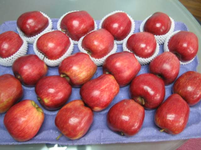 Red delicious apple