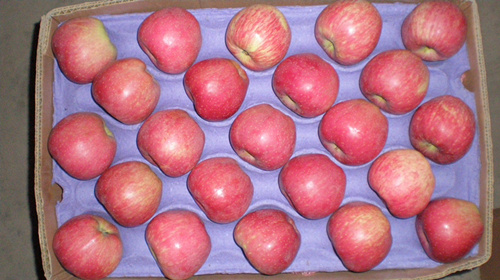 Red star apple
