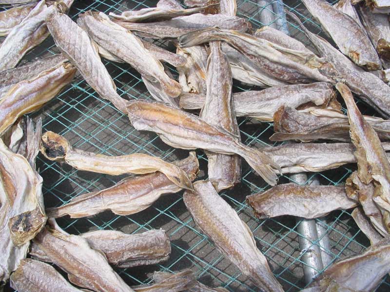 Dry fish