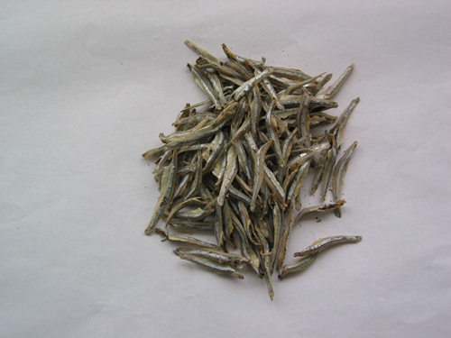 Dried anchovy fish