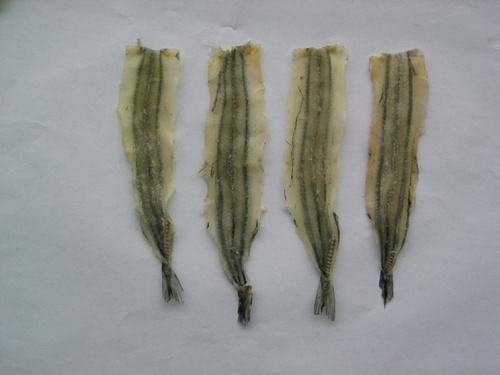 Dried horse mackerel