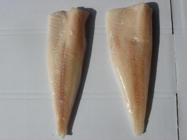 APO fillet