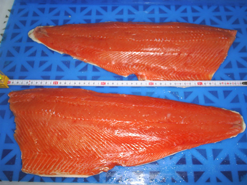 Chum salmon fillet