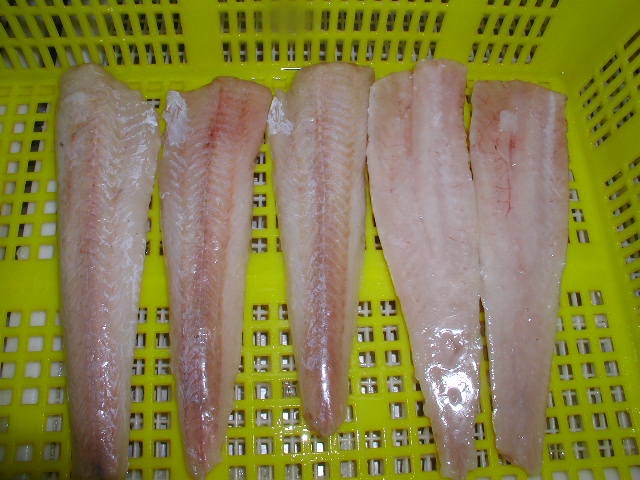 Hake fillet