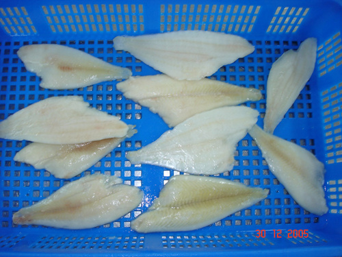 YFS fillet