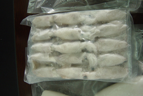Frozen baby squid