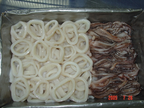Squid R&T
