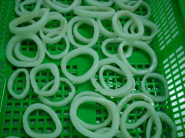 Squid ring