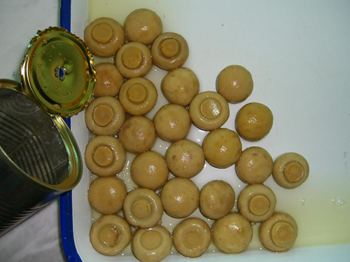 Canned whole champigon-400g