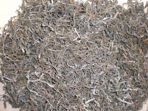 Sun dried kelp