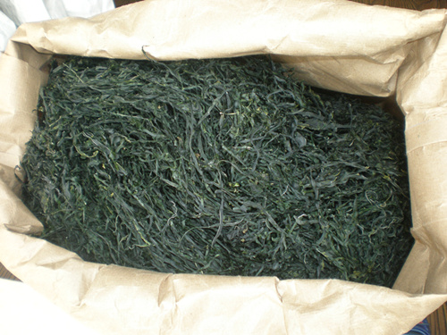Machine dried kelp in water-proof woven bag