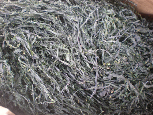 Machine dried kelp