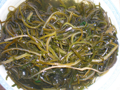 Machine dried kelp(MD-2) Hydrated in water