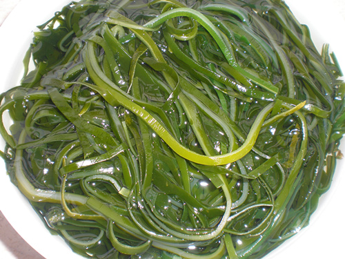 Machine dried kelp(MD-1) Hydrated in water
