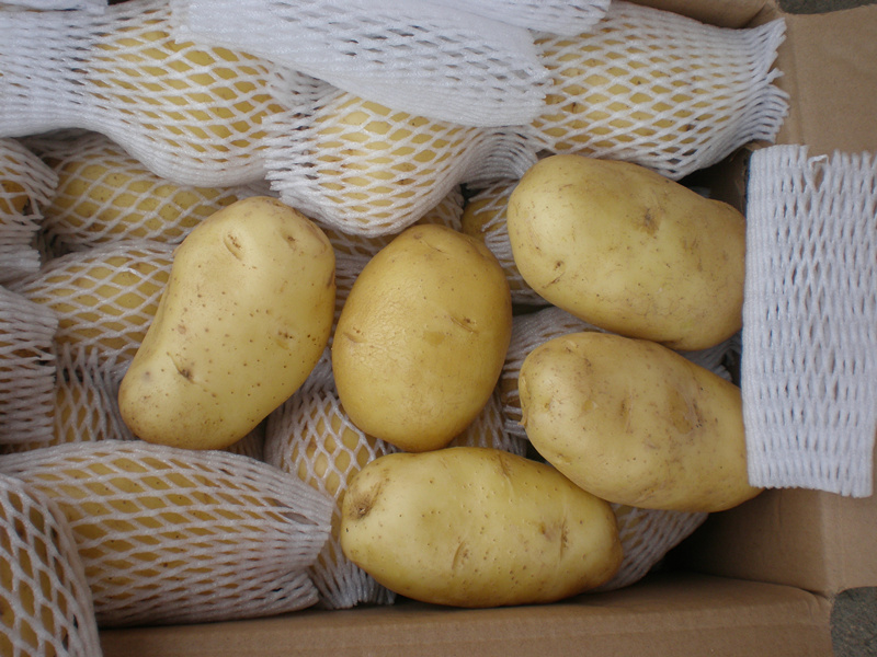картофель