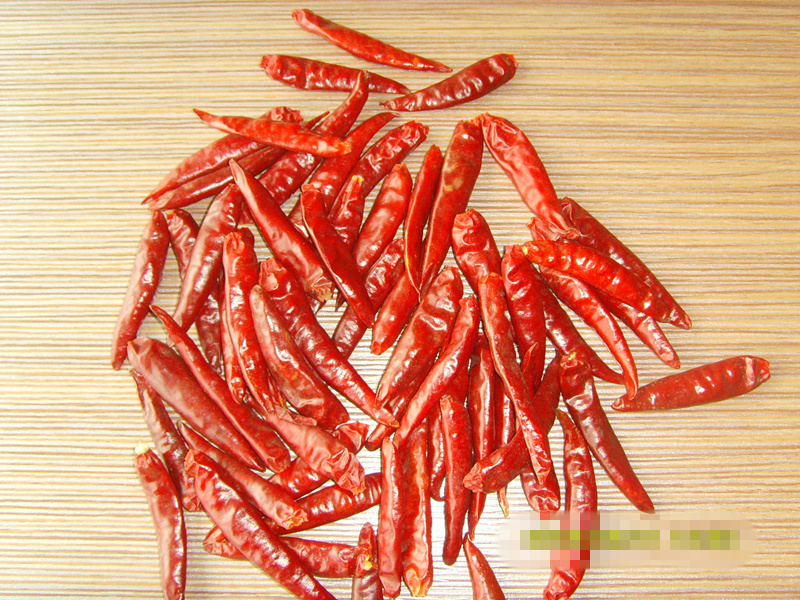 ChaoTian Chilli
