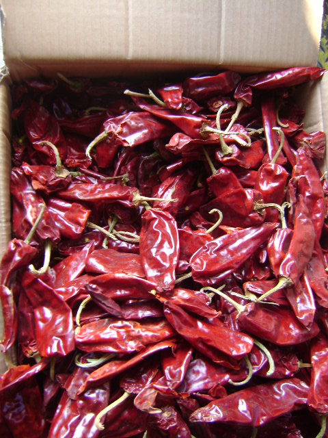 YiDuChilli