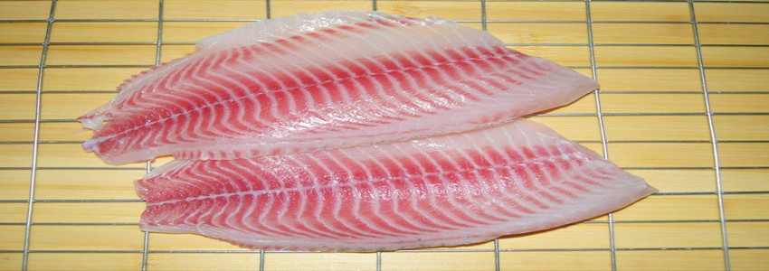 Tilapia fillet